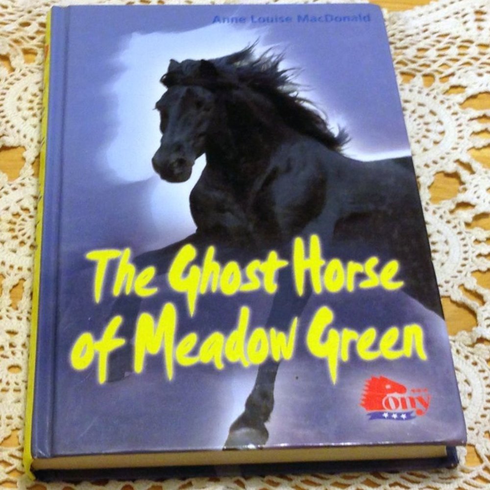 Book Sale! 3 for $10! Pony Book - Ghost Horse of Meadow Green